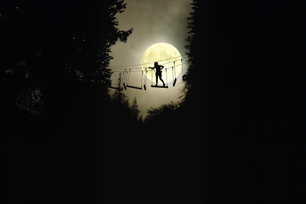 Read more about the article Nacht der Seilparks