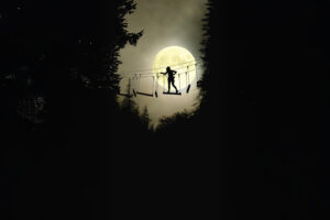 Read more about the article Nacht der Seilparks